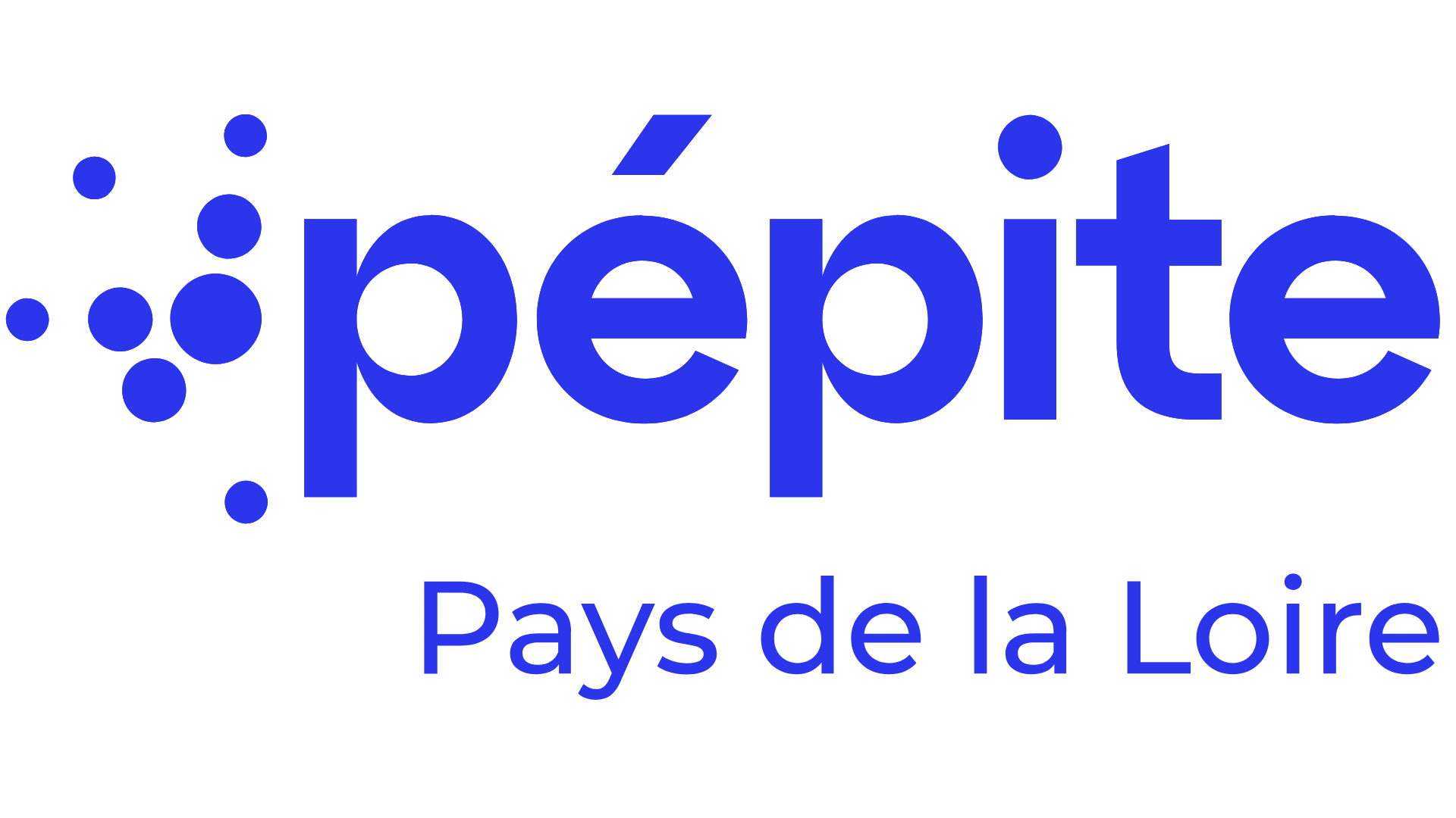 logo pépite