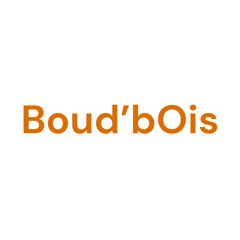 logo site web-2